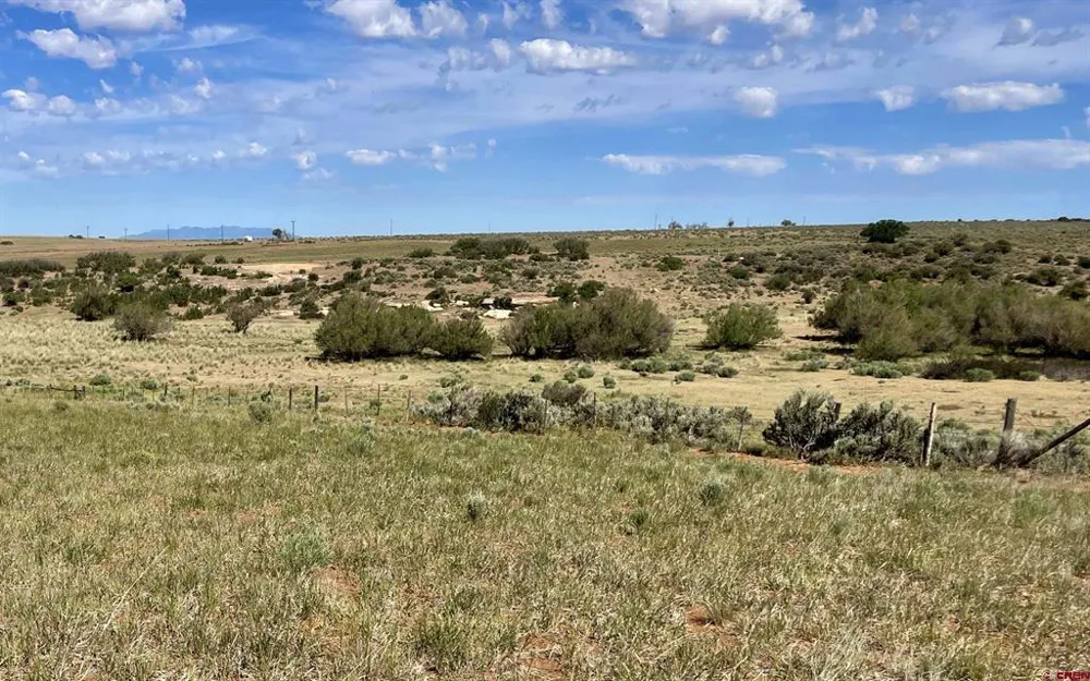 1 Road AA Lewis, CO 81327