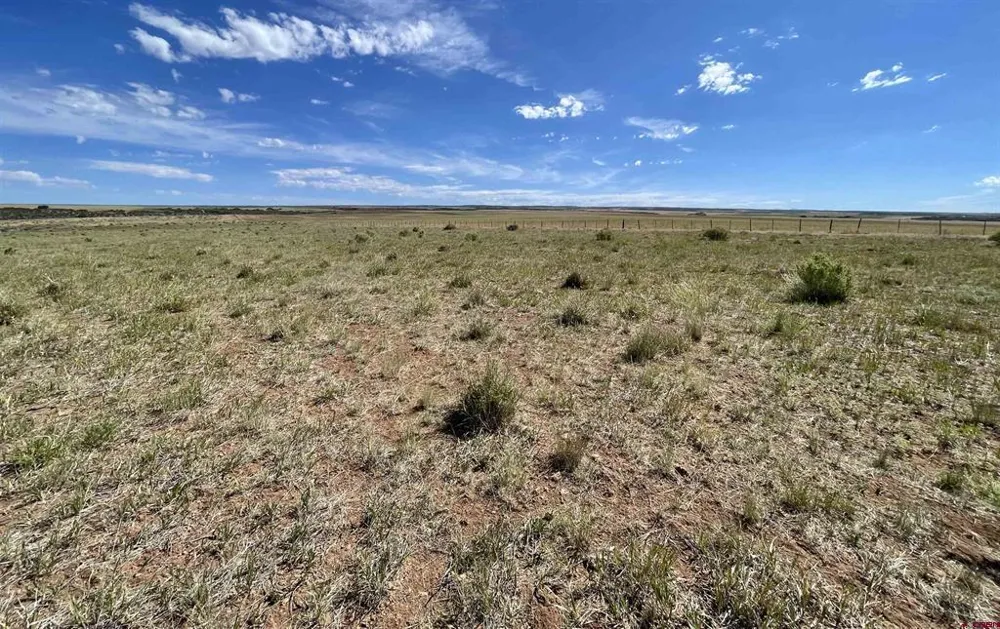 1 Road AA Lewis, CO 81327