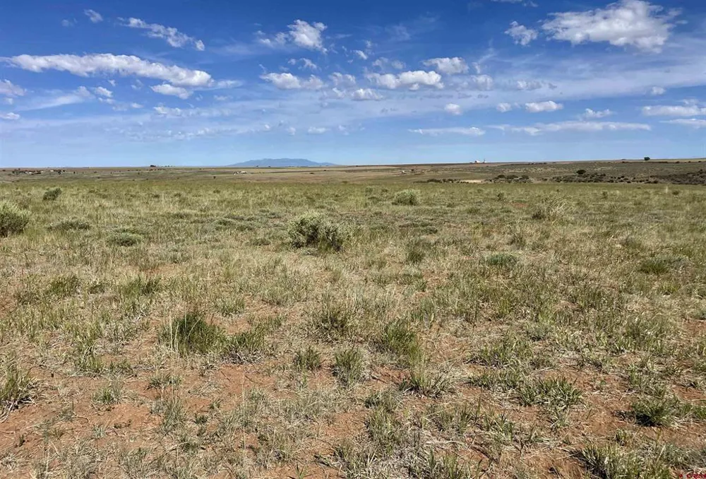 1 Road AA Lewis, CO 81327