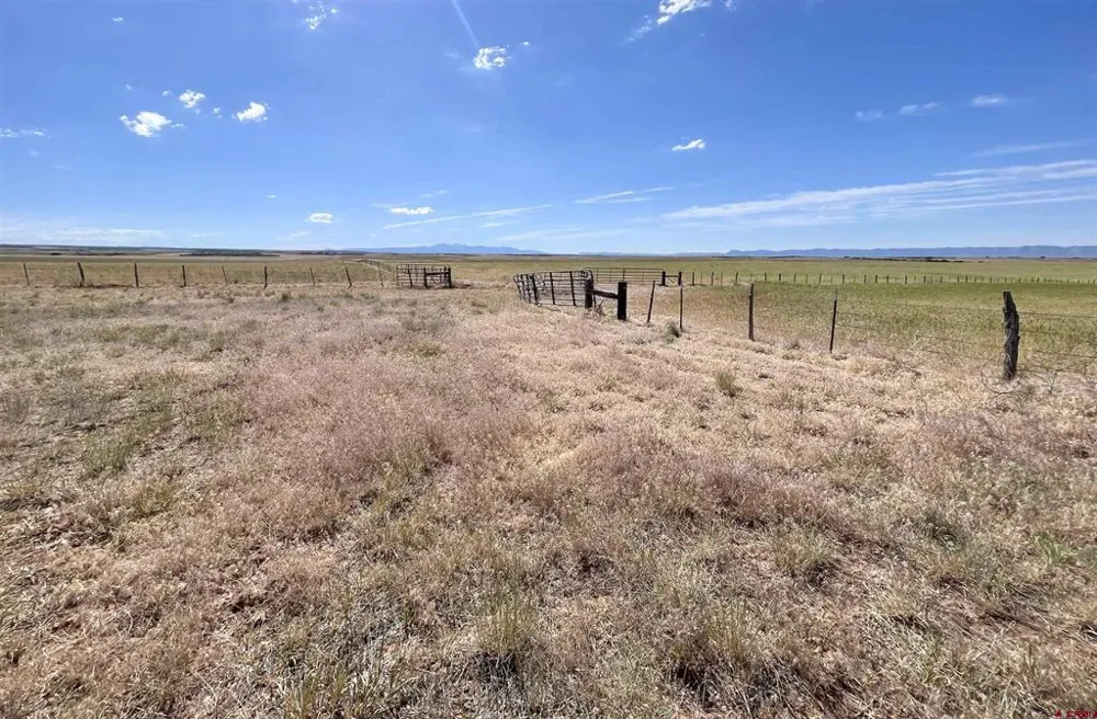1 Road AA Lewis, CO 81327