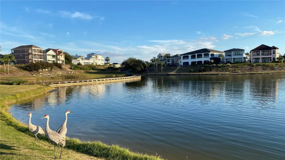 560 MUIRFIELD LOOP Reunion, FL 34747