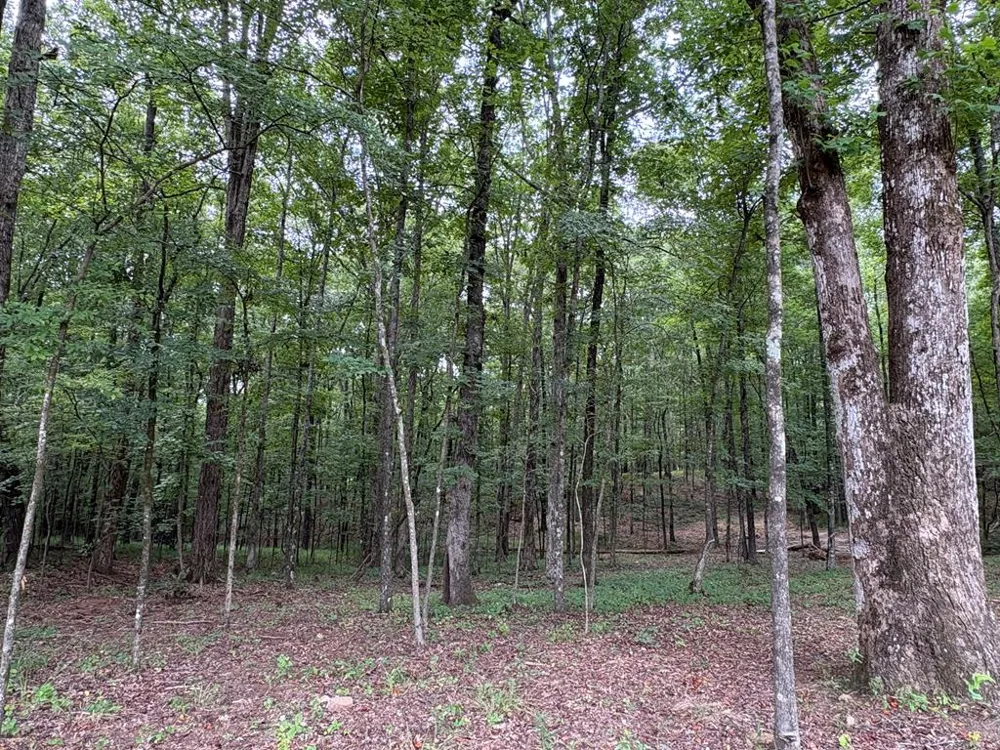 1925 Lee Road 0288 Smiths Station, AL 36877
