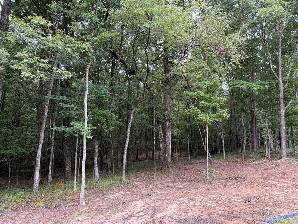 1925 Lee Road 0288 Smiths Station, AL 36877