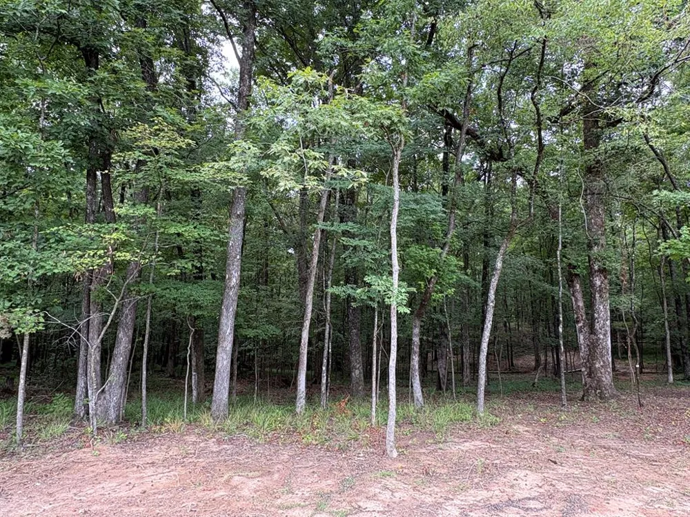 1925 Lee Road 0288 Smiths Station, AL 36877