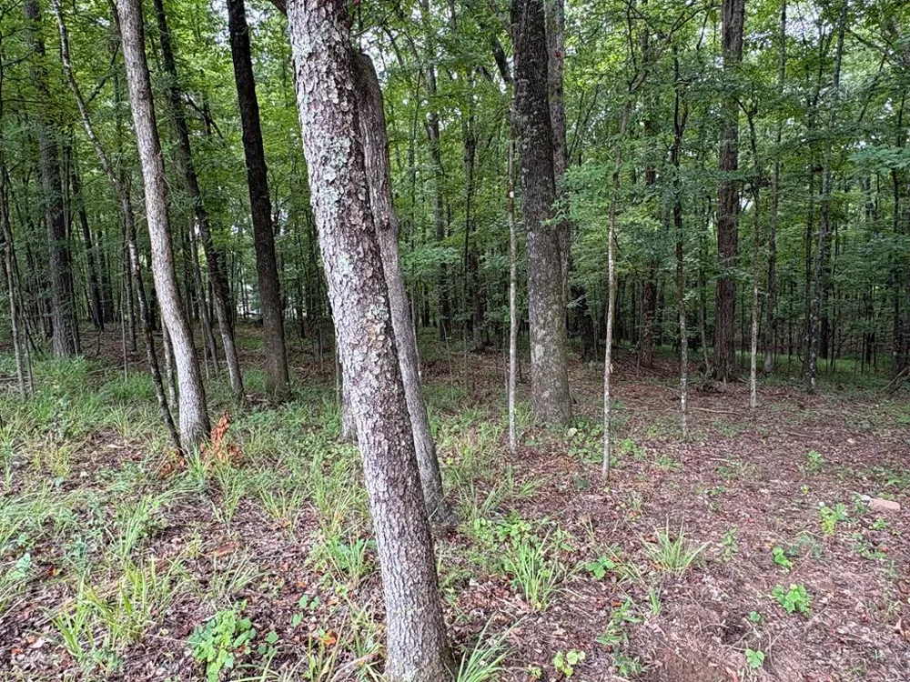 1925 Lee Road 0288 Smiths Station, AL 36877