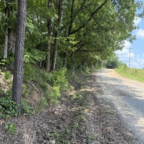 80.61 acres Howard Neal Road