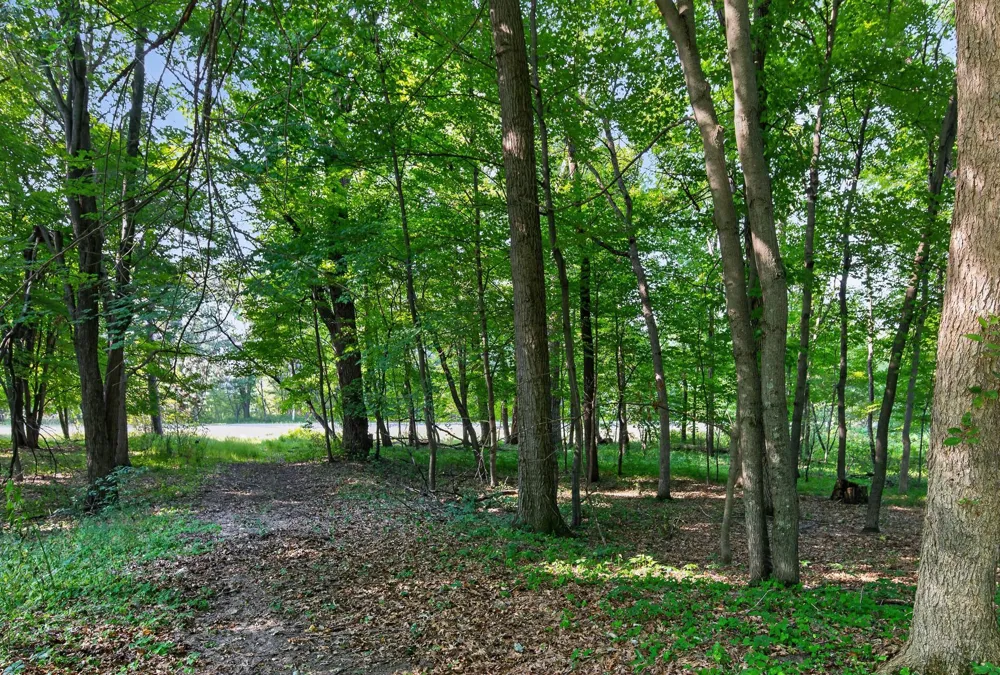 8055 Fawn Lake Drive NE Linwood, MN 55079
