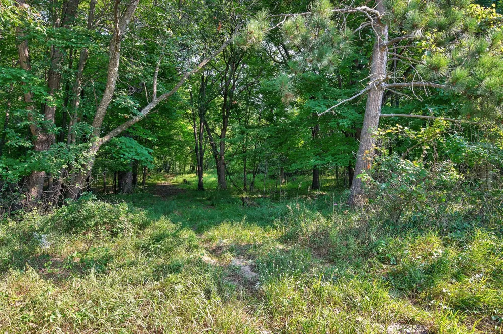 8055 Fawn Lake Drive NE Linwood, MN 55079