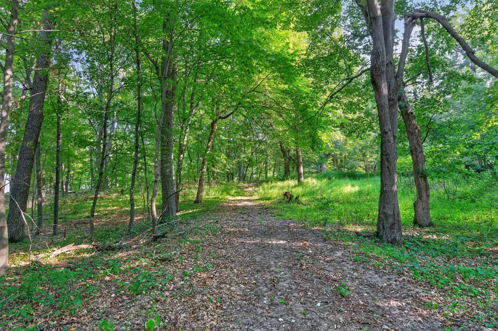 8055 Fawn Lake Drive NE Linwood, MN 55079