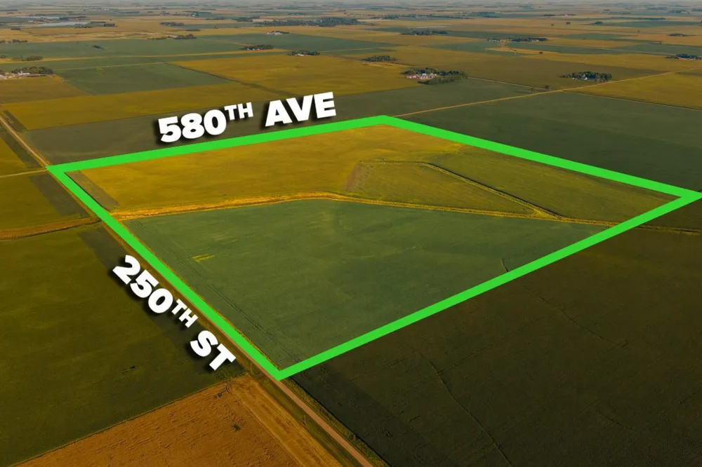 TBD 250th Street Alberta, MN 56207
