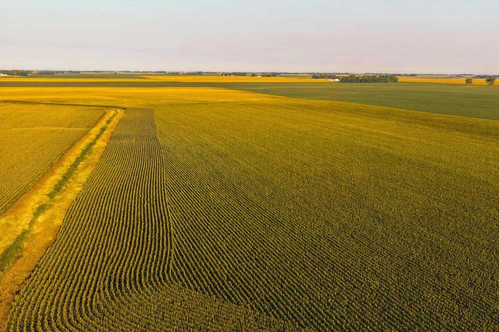 TBD 250th Street Alberta, MN 56207
