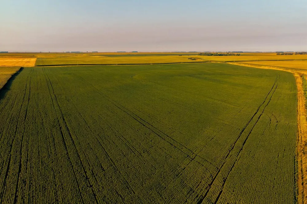 TBD 250th Street Alberta, MN 56207