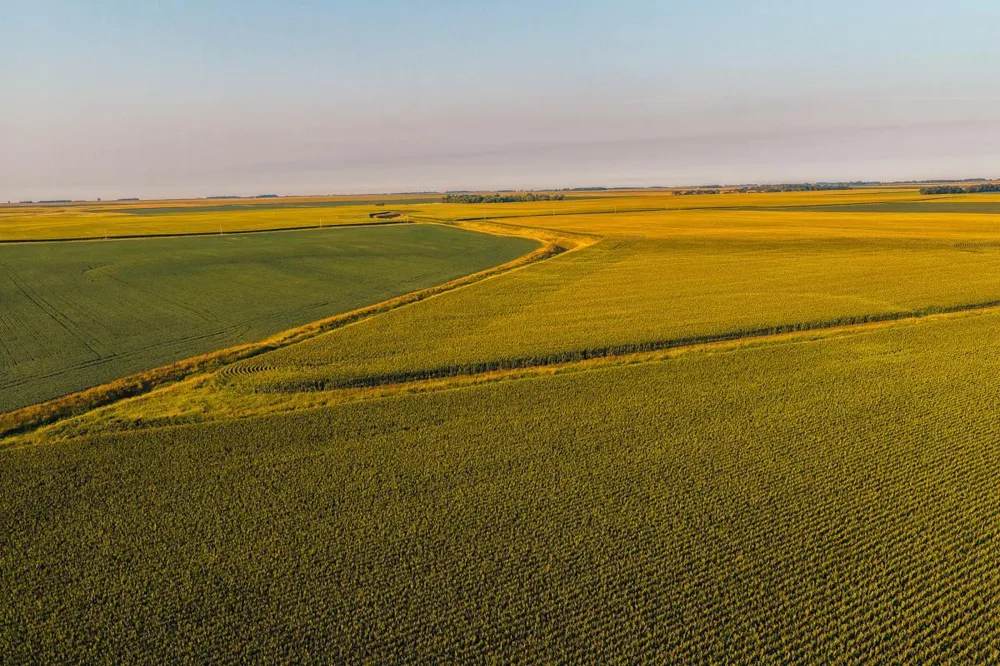 TBD 250th Street Alberta, MN 56207