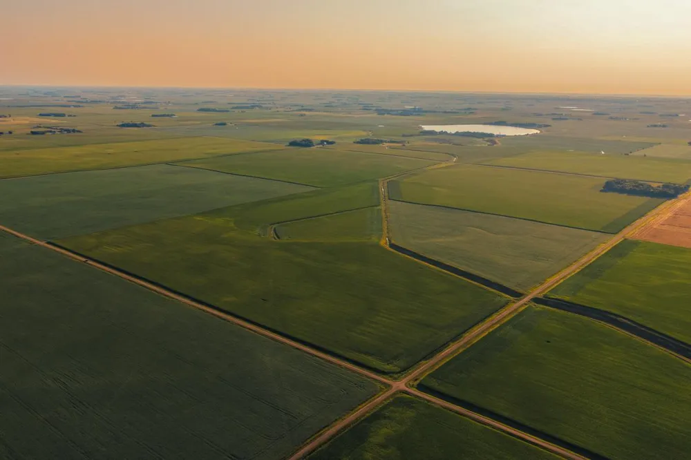 TBD 250th Street Alberta, MN 56207
