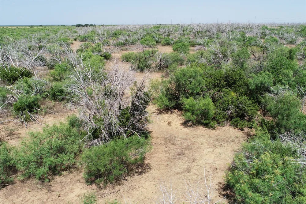 Craven Rd. Quanah, TX 79252