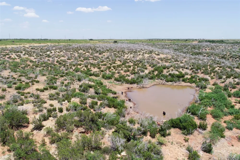 Craven Rd. Quanah, TX 79252