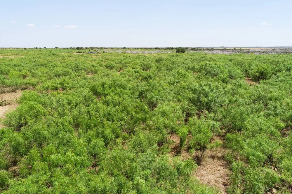 Craven Rd. Quanah, TX 79252