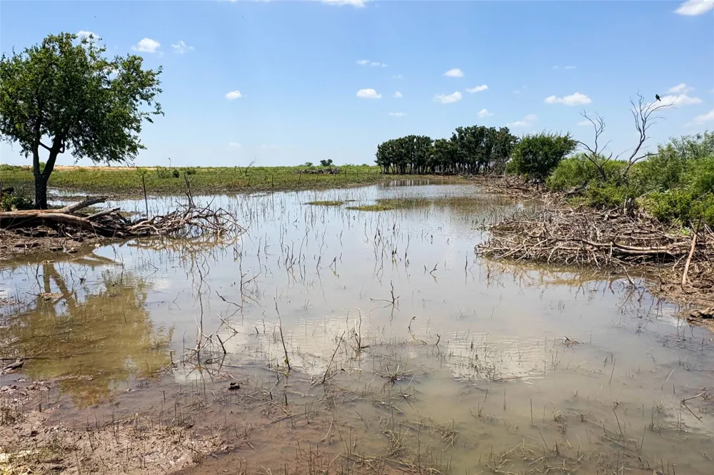 Craven Rd. Quanah, TX 79252