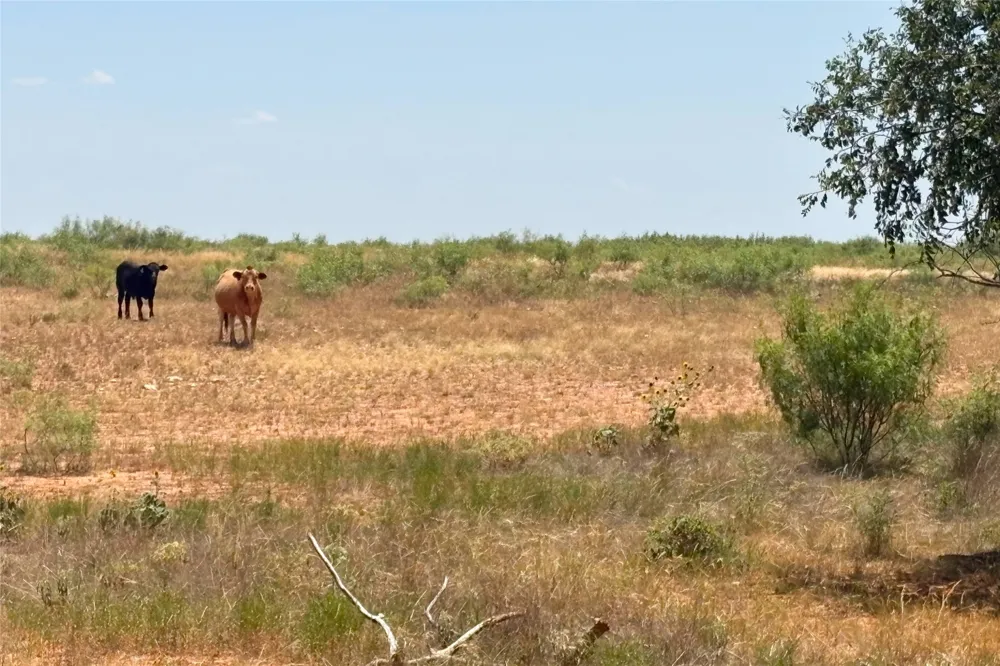 Craven Rd. Quanah, TX 79252