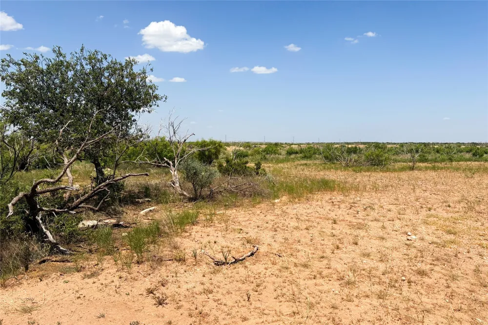 Craven Rd. Quanah, TX 79252