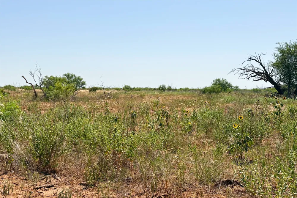 Craven Rd. Quanah, TX 79252