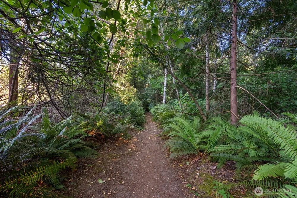 0 Point White Drive NE Bainbridge Island, WA 98110