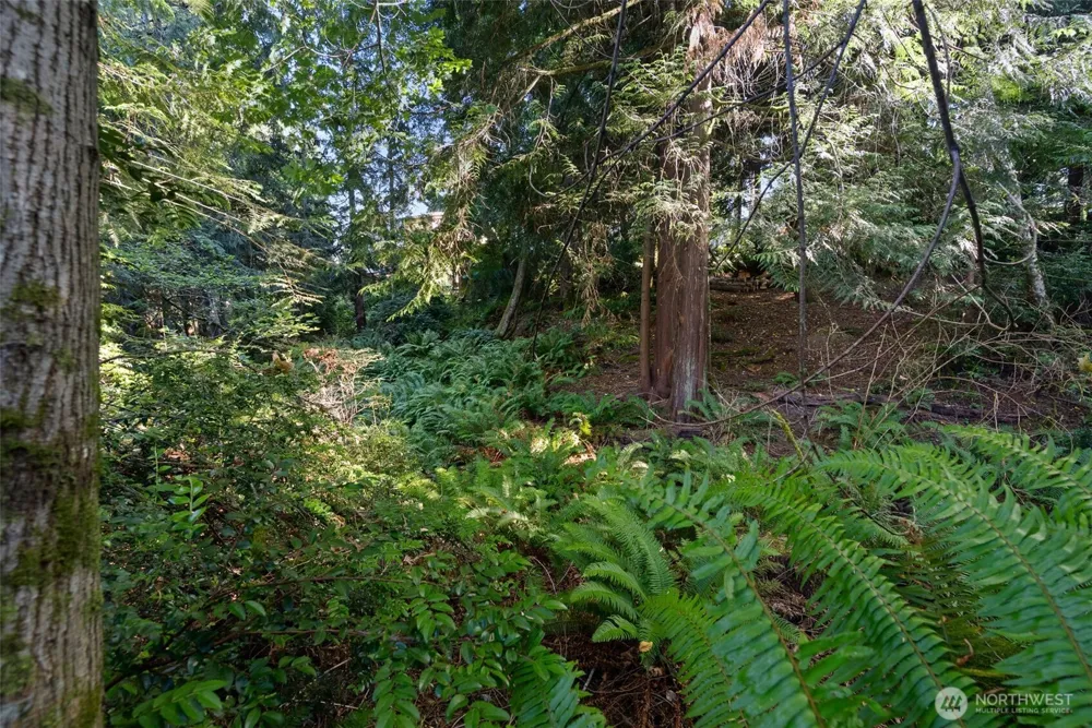 0 Point White Drive NE Bainbridge Island, WA 98110