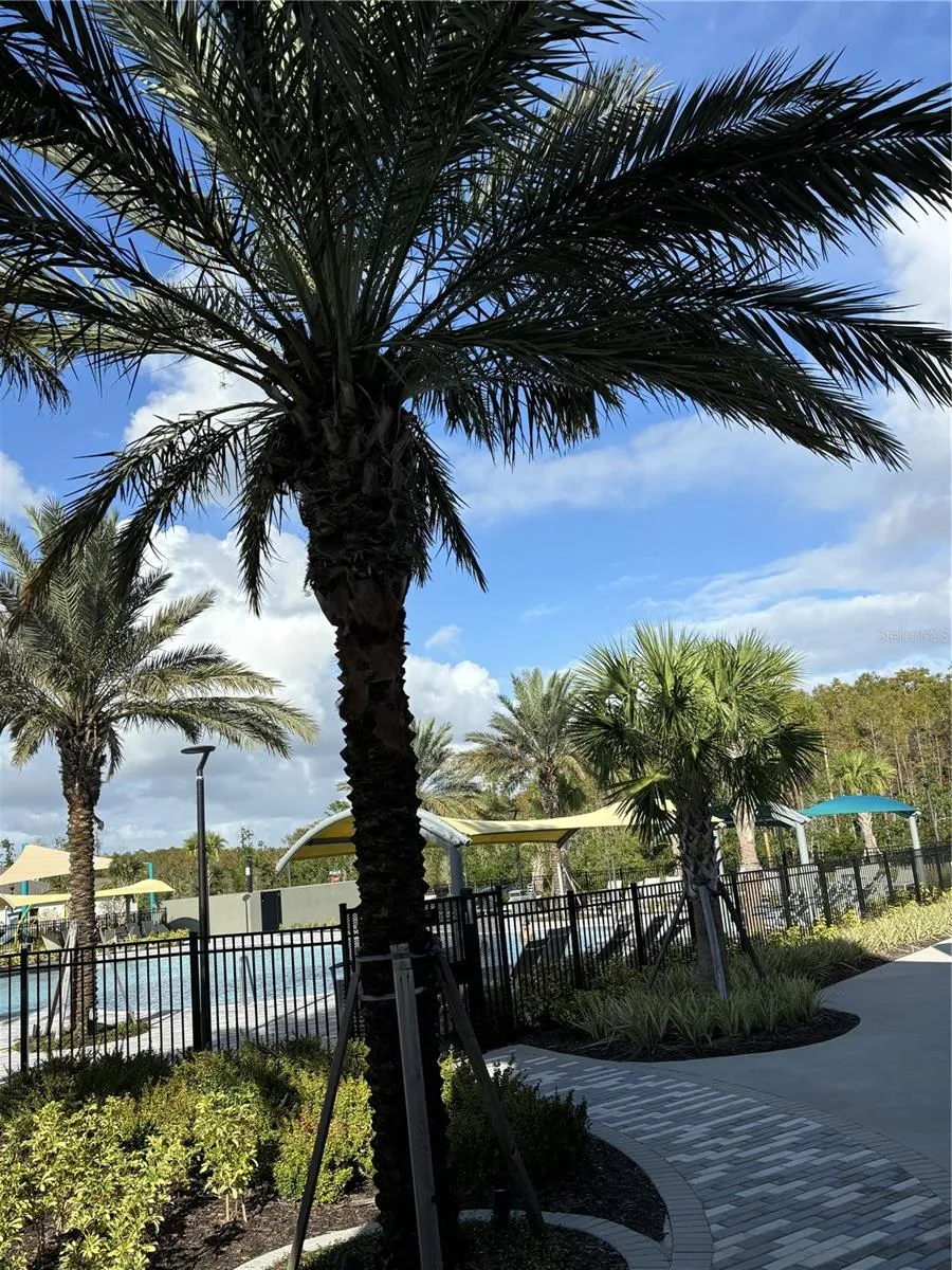 10011 GAZEBO ALLEY Orlando, FL 32832