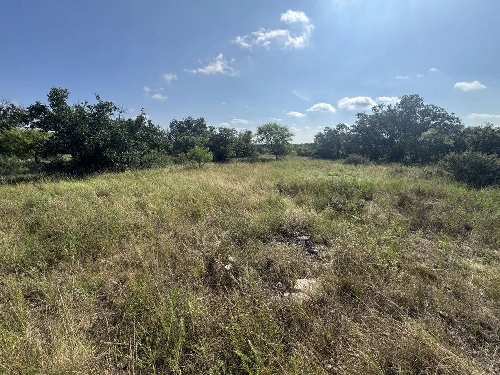 7770 Buck Ridge Road Brady, TX 76825
