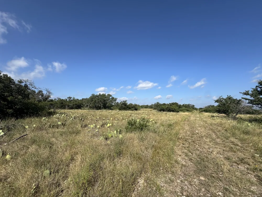 7770 Buck Ridge Road Brady, TX 76825