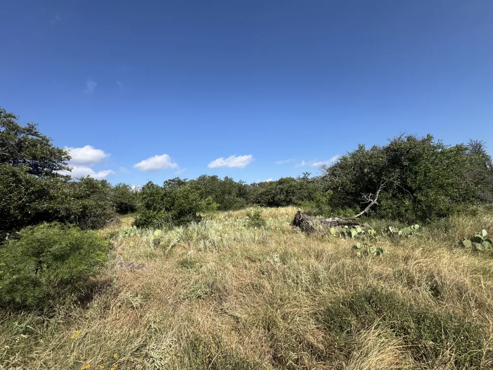 7770 Buck Ridge Road Brady, TX 76825