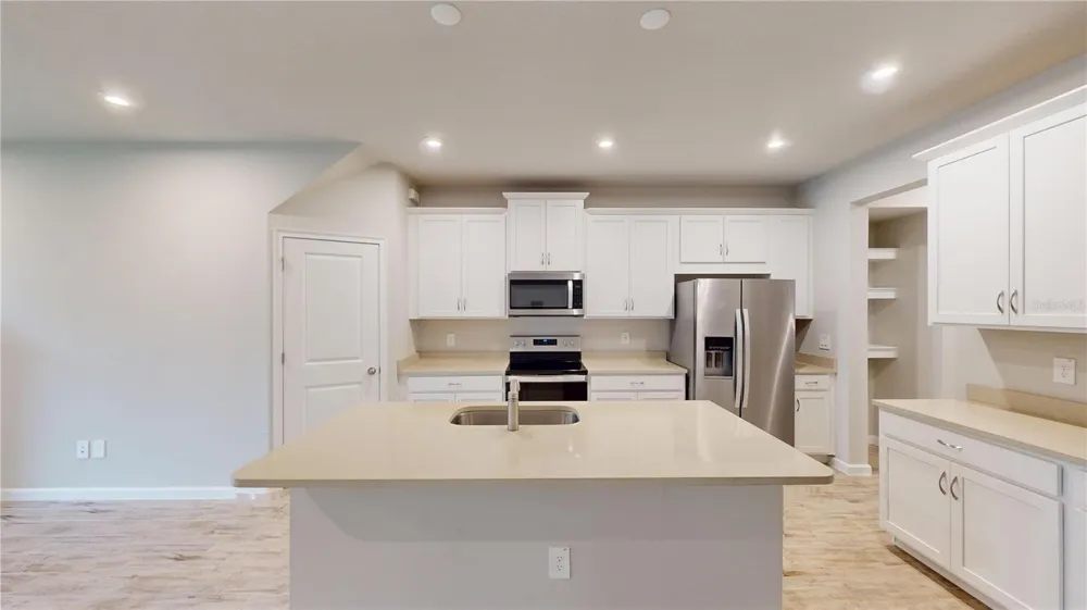 26130 FANTASY SKY LANE Lutz, FL 33559