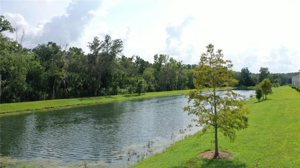 26130 FANTASY SKY LANE Lutz, FL 33559