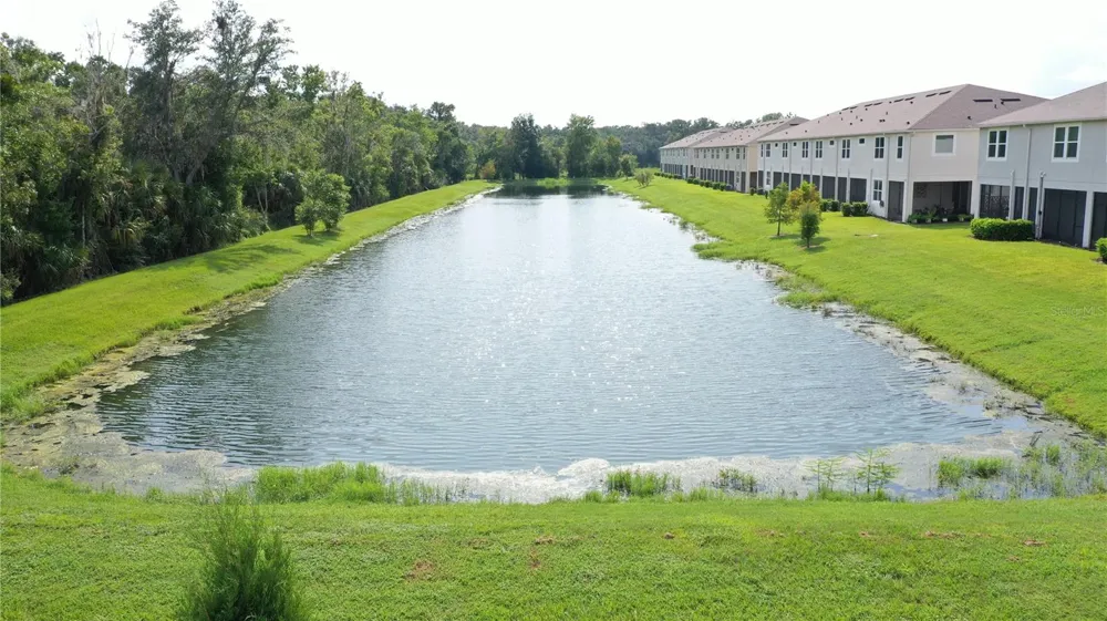 26130 FANTASY SKY LANE Lutz, FL 33559