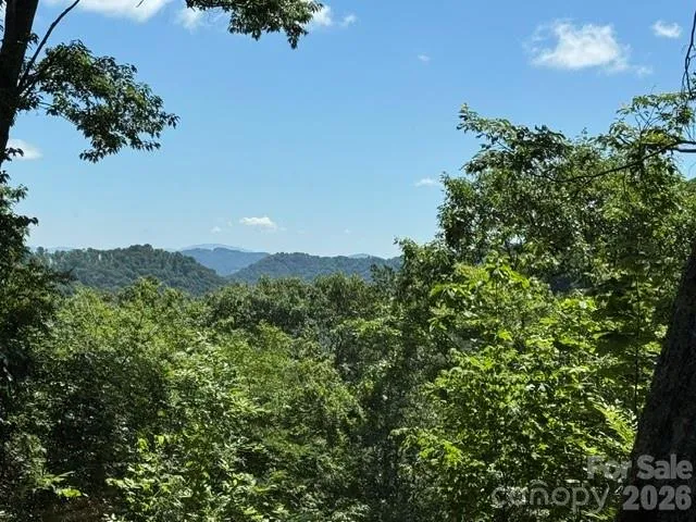 673 Chestnut Lane Mars Hill, NC 28754