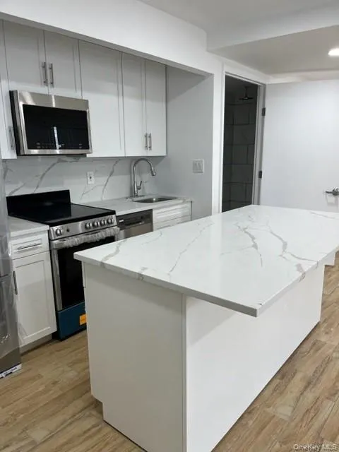 6334 Fresh Pond Road #1A Ridgewood, NY 11385