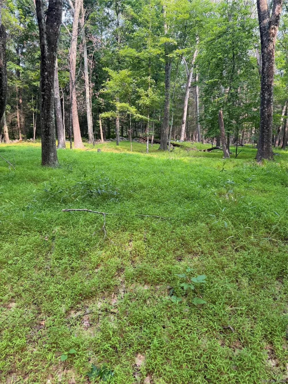 148 Quannacut Road Pine Bush, NY 12566