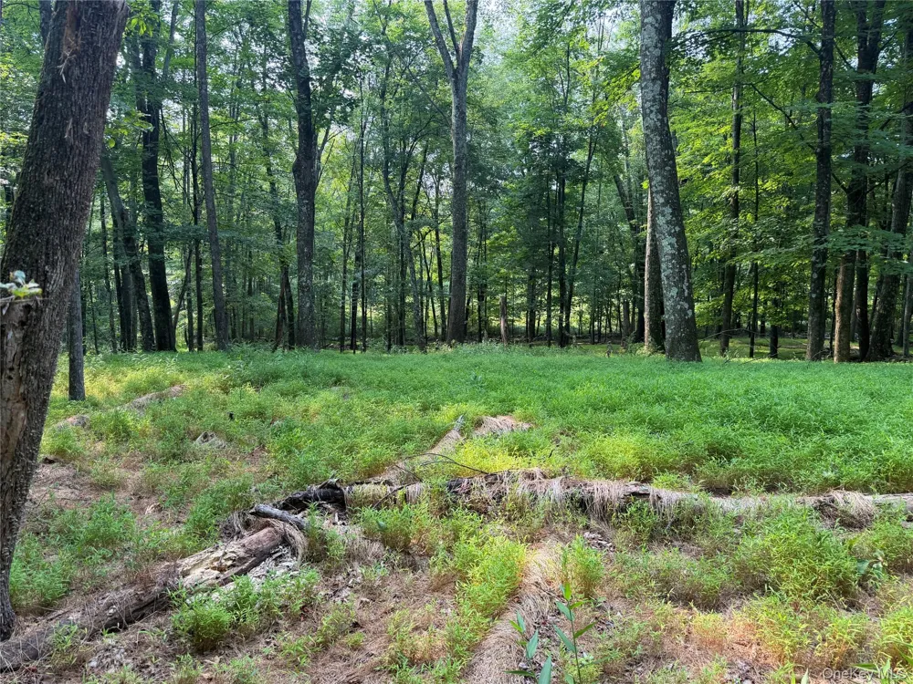 148 Quannacut Road Pine Bush, NY 12566