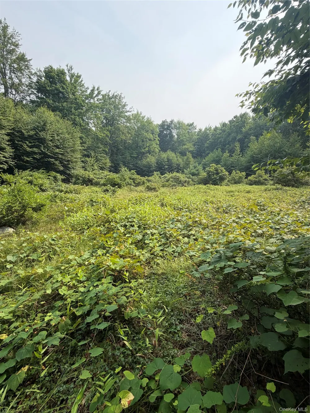 148 Quannacut Road Pine Bush, NY 12566