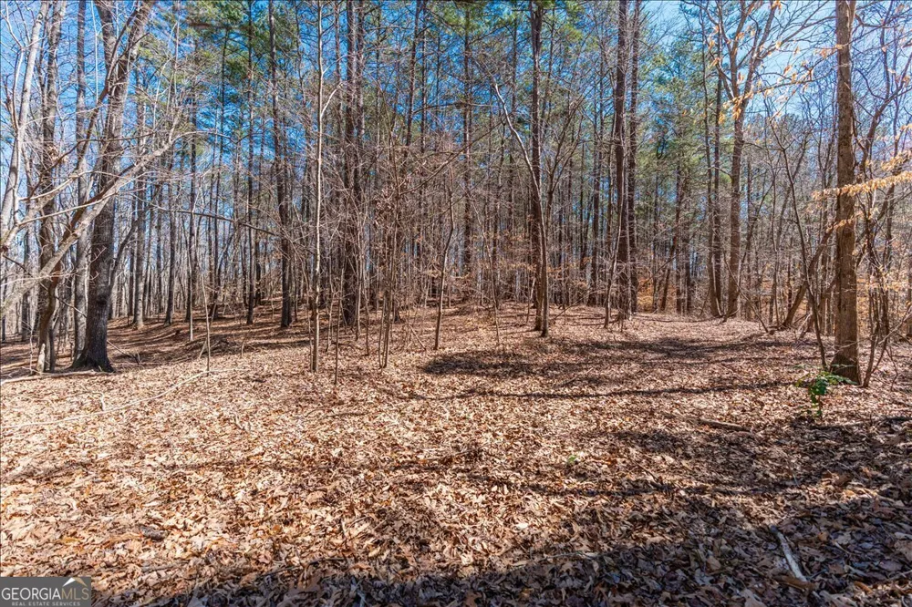 0 Snote Jones RD Dallas, GA 30132