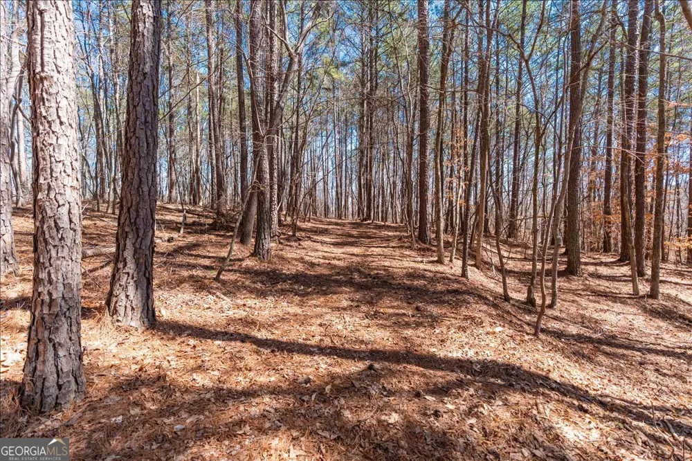0 Snote Jones RD Dallas, GA 30132