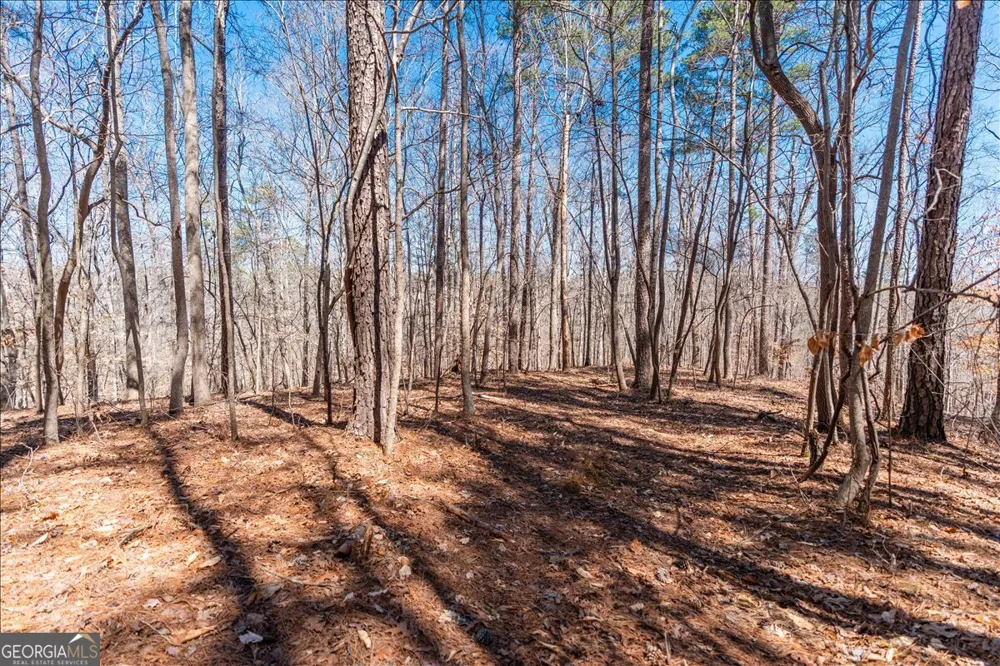 0 Snote Jones RD Dallas, GA 30132