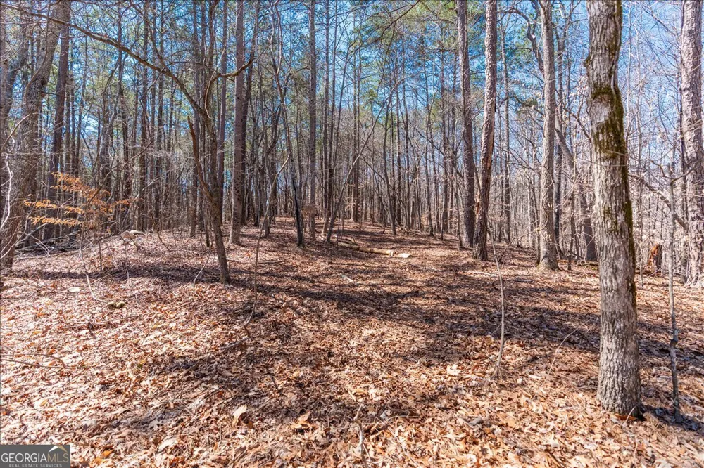0 Snote Jones RD Dallas, GA 30132