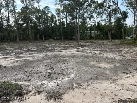 Martin Bluff Road