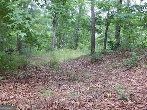 5042 McKinsey LN Flowery Branch, GA 30542