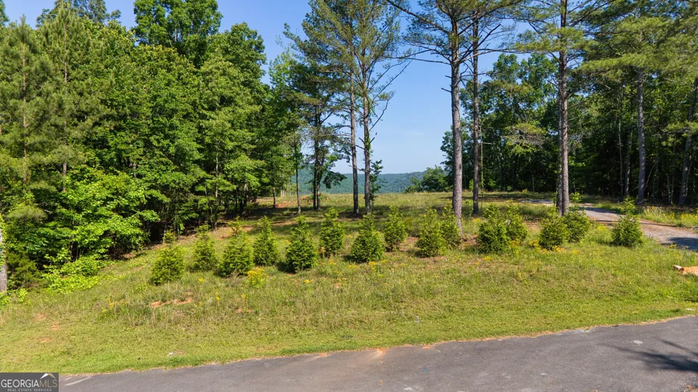 1450 County Rd 137 Cedar Bluff, AL 35959