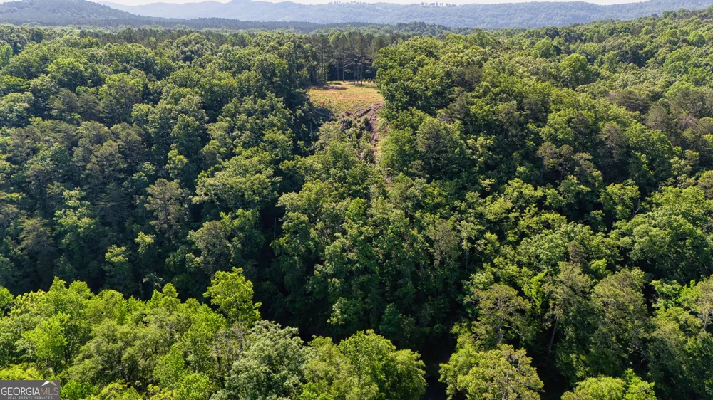 1450 County Rd 137 Cedar Bluff, AL 35959