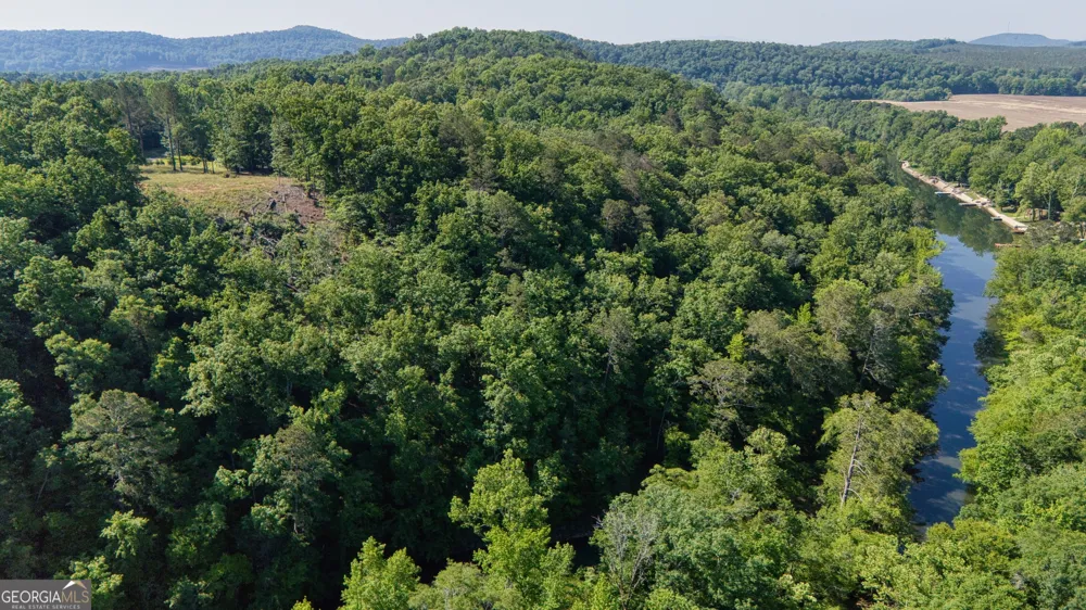1450 County Rd 137 Cedar Bluff, AL 35959