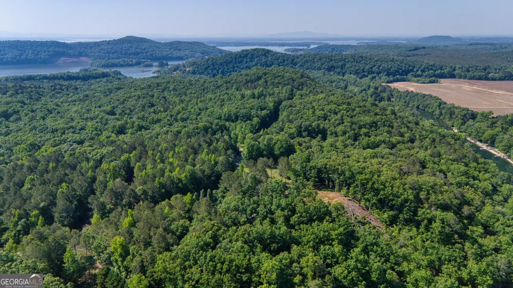 1450 County Rd 137 Cedar Bluff, AL 35959
