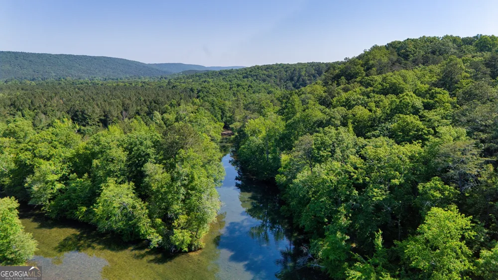1450 County Rd 137 Cedar Bluff, AL 35959
